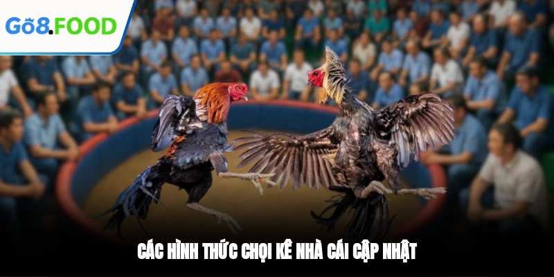 Các hình thức chọi kê nhà cái cập nhật