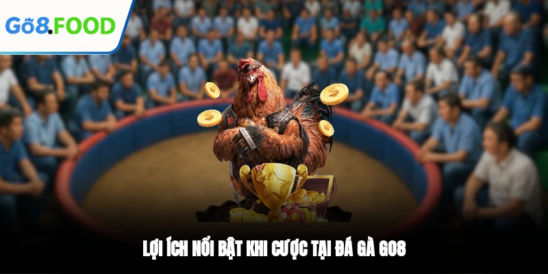 Lợi ích nổi bật khi cược tại Đá gà GO8